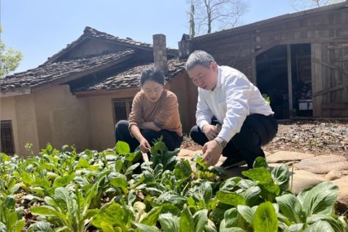 福建省農(nóng)科院攜手鄉(xiāng)愁沈丹共建綠色優(yōu)質農(nóng)產(chǎn)品聯(lián)合開發(fā)中心 科技賦能助力綠色產(chǎn)業(yè)發(fā)展