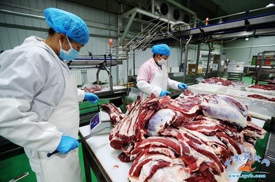 祁連牧歌悠揚 張掖一企獲評&ldquo;國家級綠色工廠&rdquo;