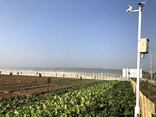 17幫農(nóng) 2018年觀光農(nóng)業(yè)新發(fā)展模式展望,共享是趨勢