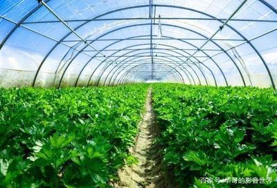 招商啦!上猶縣水巖鄉(xiāng)生態(tài)農(nóng)業(yè)產(chǎn)業(yè)基地建設(shè)招商推介書!