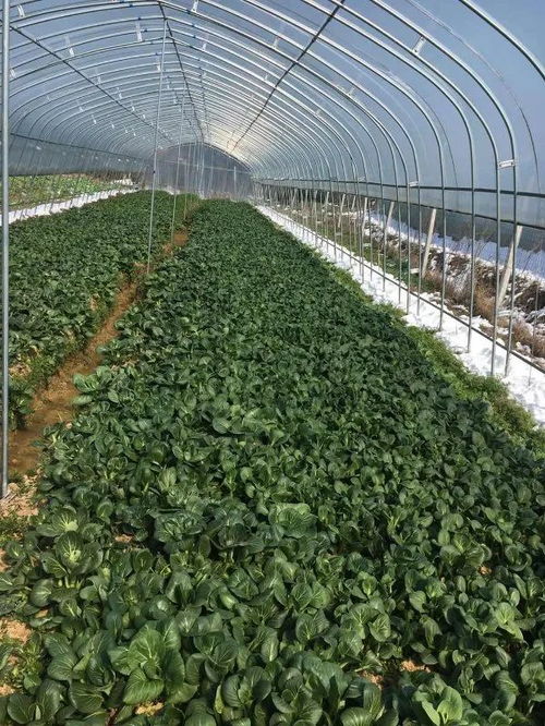 青春助農(nóng) 共同戰(zhàn)疫 ,期待你的加入