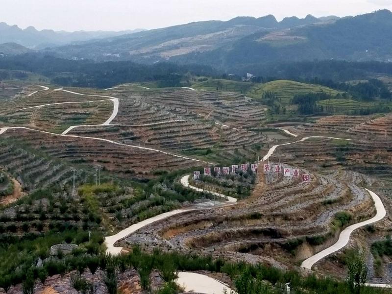 廣黔幫扶:&ldquo;招商引資,以商帶商&rdquo;,白云干部建現代農業產業園帶領當地群眾致富