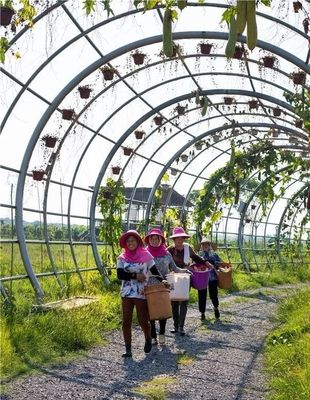 勇當(dāng)鄉(xiāng)村振興“偵察兵”“先鋒隊(duì)”——瀏陽市國家級田園綜合體建設(shè)試點(diǎn)紀(jì)實(shí)