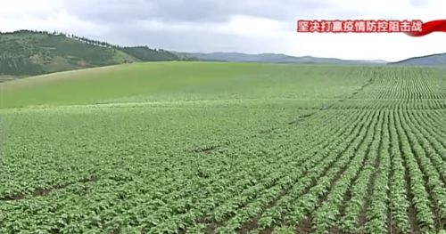 構(gòu)筑特色農(nóng)業(yè)新優(yōu)勢，以產(chǎn)業(yè)發(fā)展促鄉(xiāng)村振興