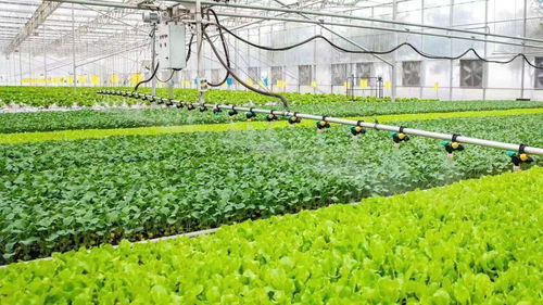 從會種地走向慧種地 稅費(fèi)優(yōu)惠賦能農(nóng)業(yè)現(xiàn)代化發(fā)展