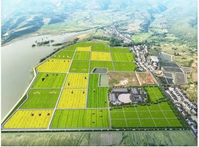 從“伏羲農(nóng)場”看通遼開發(fā)區(qū)未來農(nóng)業(yè)新圖景