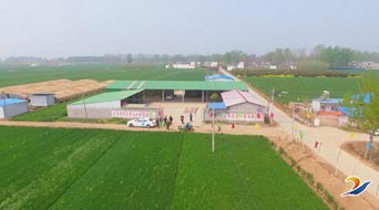 發(fā)展新型農(nóng)業(yè)，帶動村民致富——農(nóng)業(yè)開發(fā)的新路徑