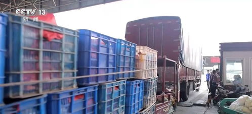 一季度農(nóng)業(yè)農(nóng)村經(jīng)濟實現(xiàn)開門穩(wěn)開門紅，發(fā)展勢頭持續(xù)向好