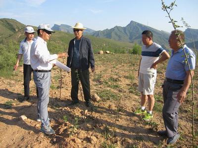 河北井陘開展農業專項資金審計，助力農業開發提質增效