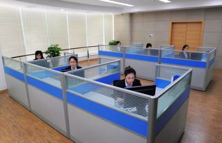 全天候溫暖守護(hù) 蒼南縣96345社會(huì)救助服務(wù)熱線正式開通